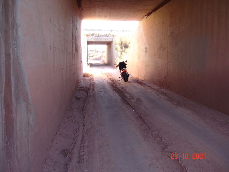 DSC09210.jpg