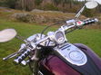 P1010041.jpg
