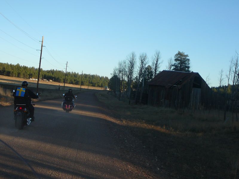 P1030204.jpg