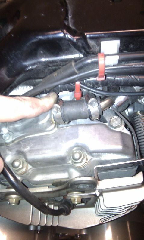 IMAG0550.jpg