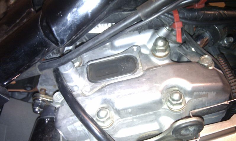 IMAG0558.jpg
