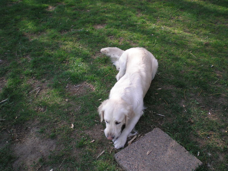 bild20_013~0.jpg
