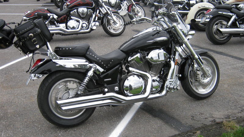 Kulans 1800
