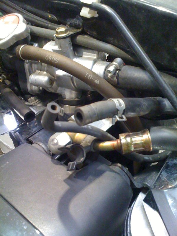 VTX_007.jpg