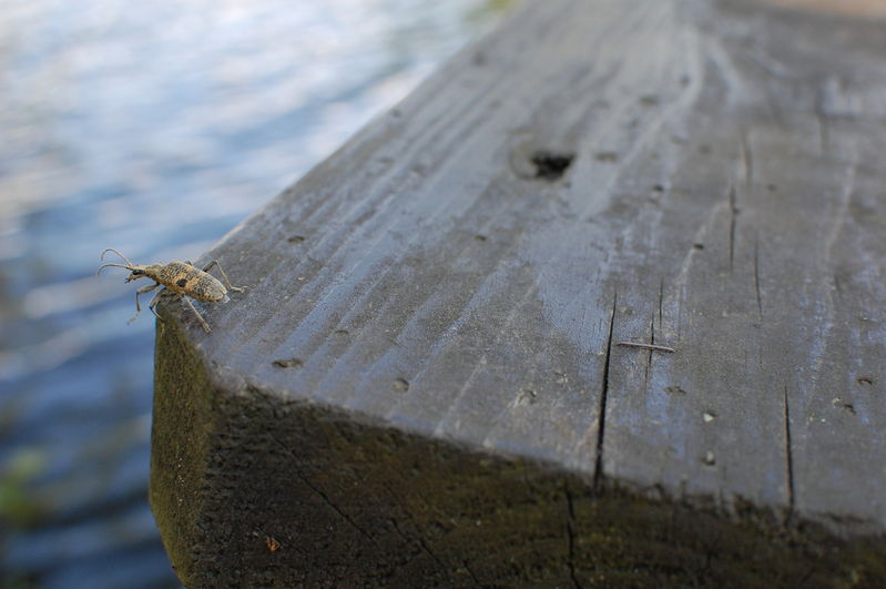 Nyckelord: Ã¥rstrÃ¤ff2012