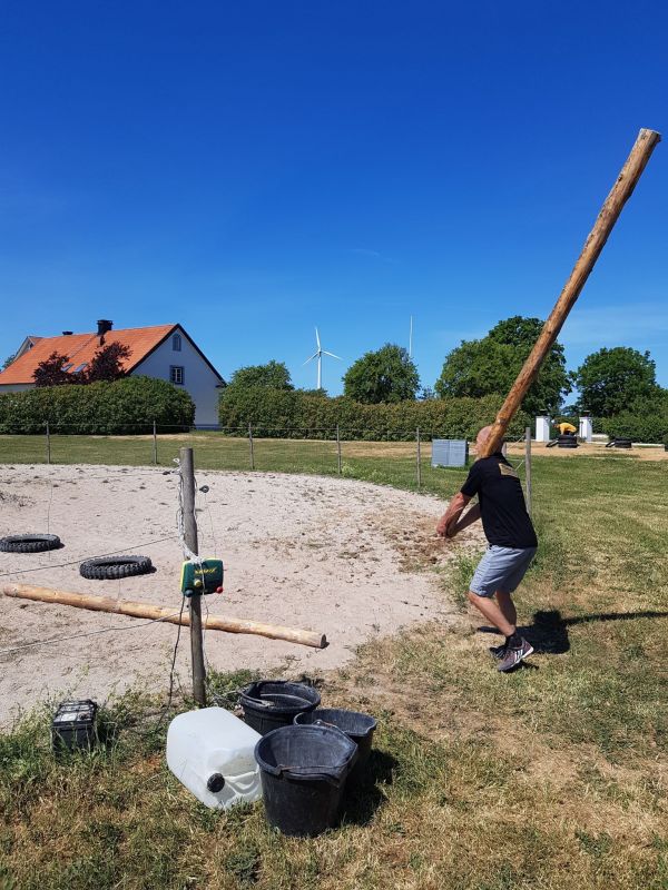 PÃ¥ Tjauls GÃ¥rd - StÃ¥ngstrÃ¶rtning
Fotograf: Sissel
Nyckelord: Ã¥rstrÃ¤ff2018