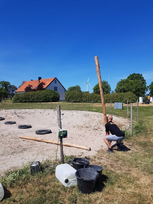PÃ¥ Tjauls GÃ¥rd - StÃ¥ngstrÃ¶rtning
Fotograf: Sissel
Nyckelord: Ã¥rstrÃ¤ff2018