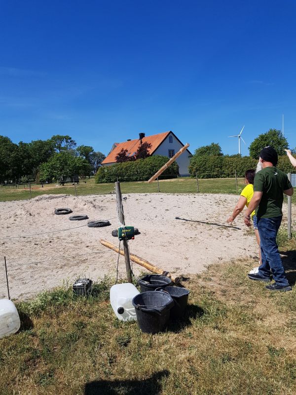 PÃ¥ Tjauls GÃ¥rd - StÃ¥ngstrÃ¶rtning
Fotograf: Sissel
Nyckelord: Ã¥rstrÃ¤ff2018