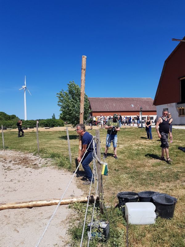 PÃ¥ Tjauls GÃ¥rd - StÃ¥ngstrÃ¶rtning
Fotograf: Sissel
Nyckelord: Ã¥rstrÃ¤ff2018