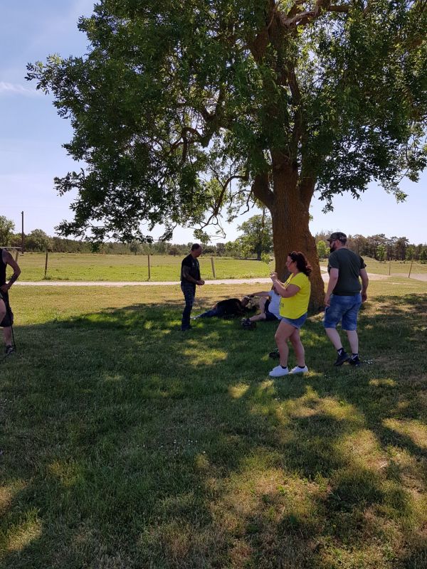 PÃ¥ Tjauls GÃ¥rd - Spark blÃ¤istre
Fotograf: Sissel
Nyckelord: Ã¥rstrÃ¤ff2018