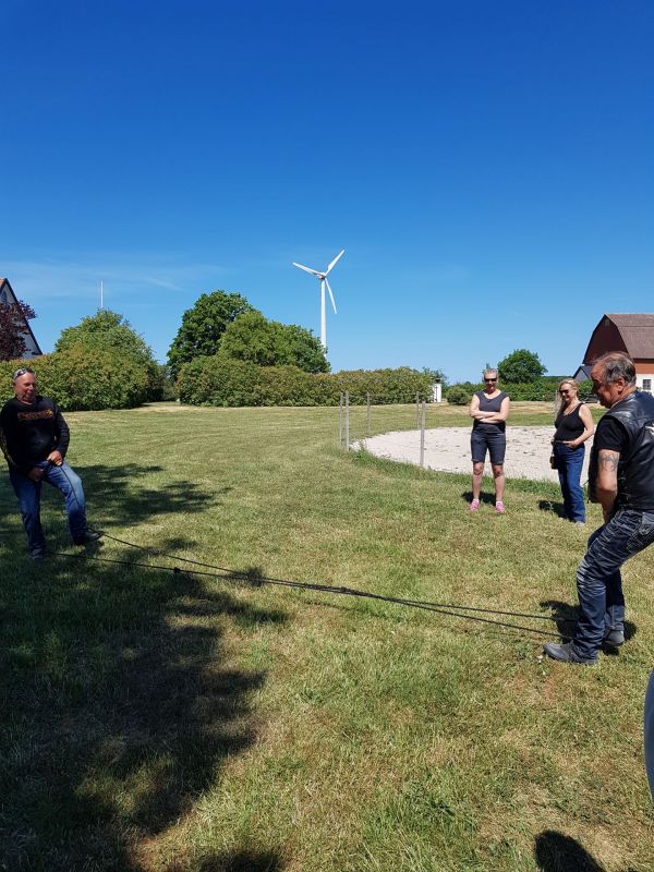 PÃ¥ Tjauls GÃ¥rd - Spark blÃ¤istre
Fotograf: Sissel
Nyckelord: Ã¥rstrÃ¤ff2018