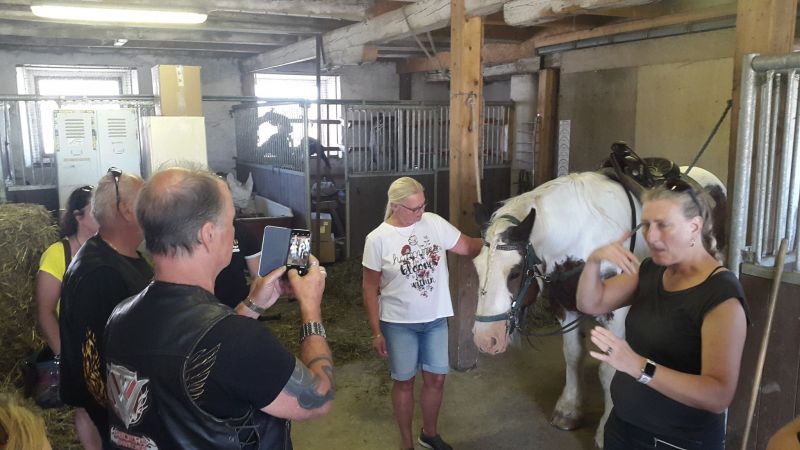 PÃ¥ Tjauls GÃ¥rd
Fotograf: Orre
Nyckelord: Ã¥rstrÃ¤ff2018