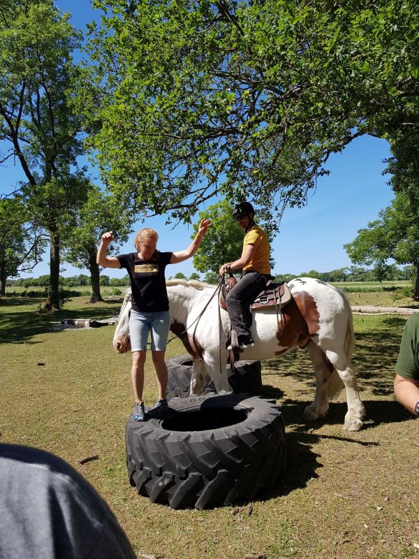 PÃ¥ Tjauls GÃ¥rd - Western-hÃ¤st-ridning
Fotograf: Sissel
Nyckelord: Ã¥rstrÃ¤ff2018