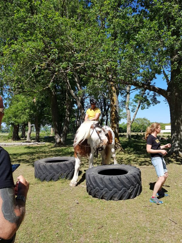 PÃ¥ Tjauls GÃ¥rd - Western-hÃ¤st-ridning
Fotograf: Sissel
Nyckelord: Ã¥rstrÃ¤ff2018