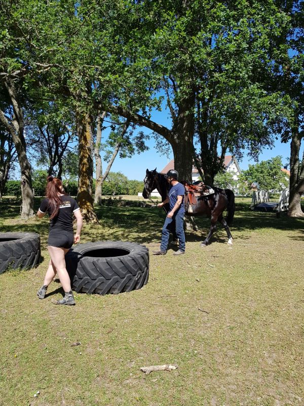 PÃ¥ Tjauls GÃ¥rd - Western-hÃ¤st-ridning
Fotograf: Sissel
Nyckelord: Ã¥rstrÃ¤ff2018