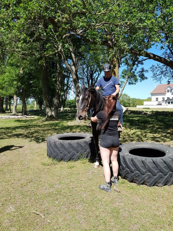 PÃ¥ Tjauls GÃ¥rd - Western-hÃ¤st-ridning
Fotograf: Sissel
Nyckelord: Ã¥rstrÃ¤ff2018