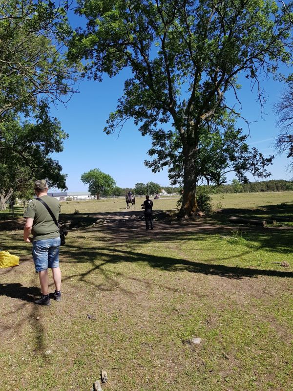 PÃ¥ Tjauls GÃ¥rd - Western-hÃ¤st-ridning
Fotograf: Sissel
Nyckelord: Ã¥rstrÃ¤ff2018