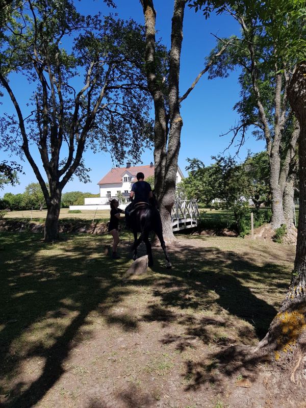 PÃ¥ Tjauls GÃ¥rd - Western-hÃ¤st-ridning
Fotograf: Sissel
Nyckelord: Ã¥rstrÃ¤ff2018