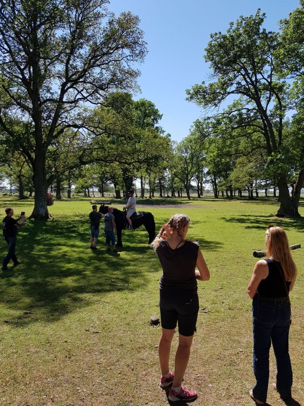 PÃ¥ Tjauls GÃ¥rd - Western-hÃ¤st-ridning
Fotograf: Sissel
Nyckelord: Ã¥rstrÃ¤ff2018