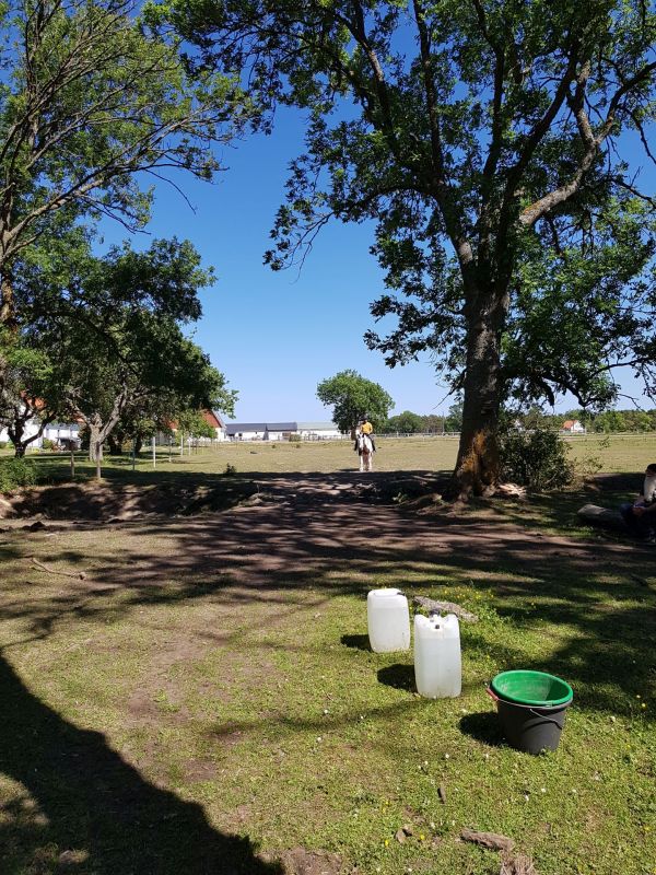 PÃ¥ Tjauls GÃ¥rd - Western-hÃ¤st-ridning
Fotograf: Sissel
Nyckelord: Ã¥rstrÃ¤ff2018
