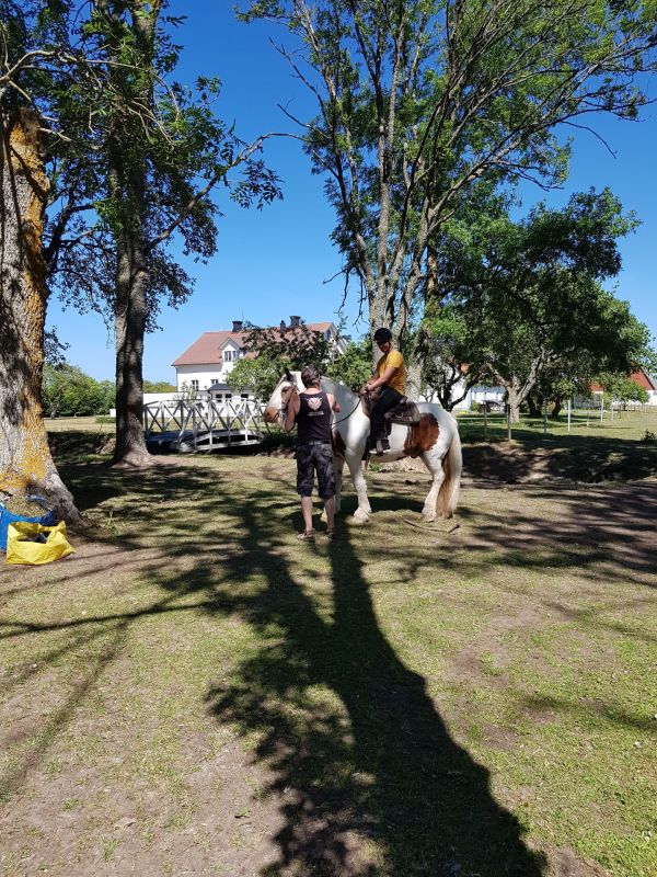PÃ¥ Tjauls GÃ¥rd - Western-hÃ¤st-ridning
Fotograf: Sissel
Nyckelord: Ã¥rstrÃ¤ff2018