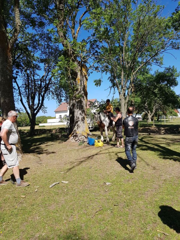 PÃ¥ Tjauls GÃ¥rd - Western-hÃ¤st-ridning
Fotograf: Sissel
Nyckelord: Ã¥rstrÃ¤ff2018