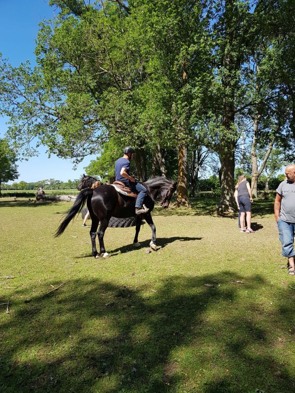 PÃ¥ Tjauls GÃ¥rd - Western-hÃ¤st-ridning
Fotograf: Sissel
Nyckelord: Ã¥rstrÃ¤ff2018