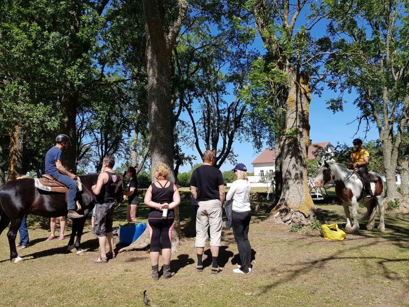 PÃ¥ Tjauls GÃ¥rd - Western-hÃ¤st-ridning
Fotograf: Sissel
Nyckelord: Ã¥rstrÃ¤ff2018