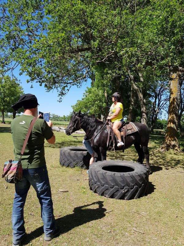PÃ¥ Tjauls GÃ¥rd - Western-hÃ¤st-ridning
Fotograf: Sissel
Nyckelord: Ã¥rstrÃ¤ff2018