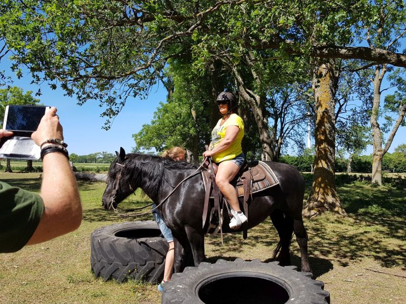 PÃ¥ Tjauls GÃ¥rd - Western-hÃ¤st-ridning
Fotograf: Sissel
Nyckelord: Ã¥rstrÃ¤ff2018