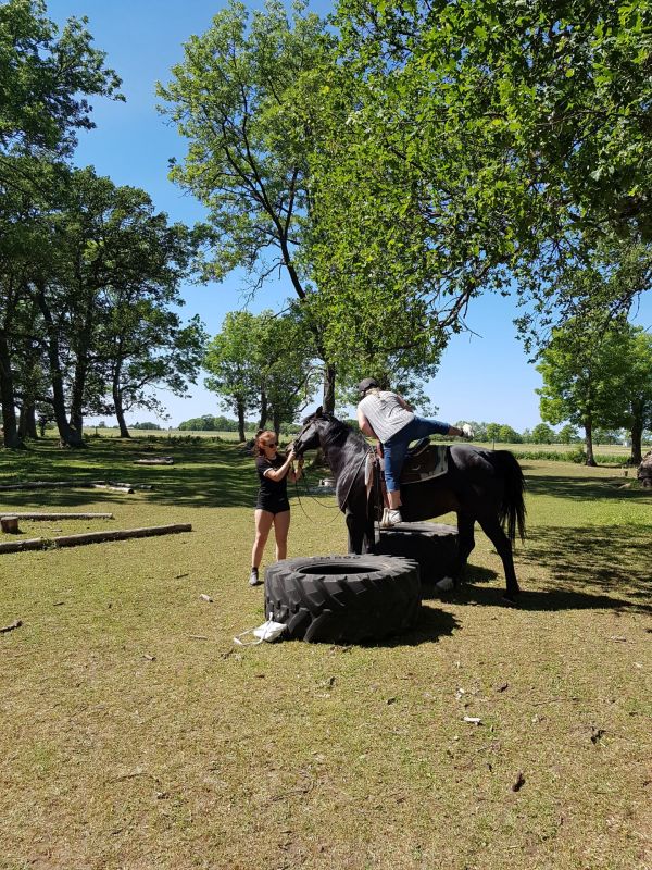 PÃ¥ Tjauls GÃ¥rd - Western-hÃ¤st-ridning
Fotograf: Sissel
Nyckelord: Ã¥rstrÃ¤ff2018
