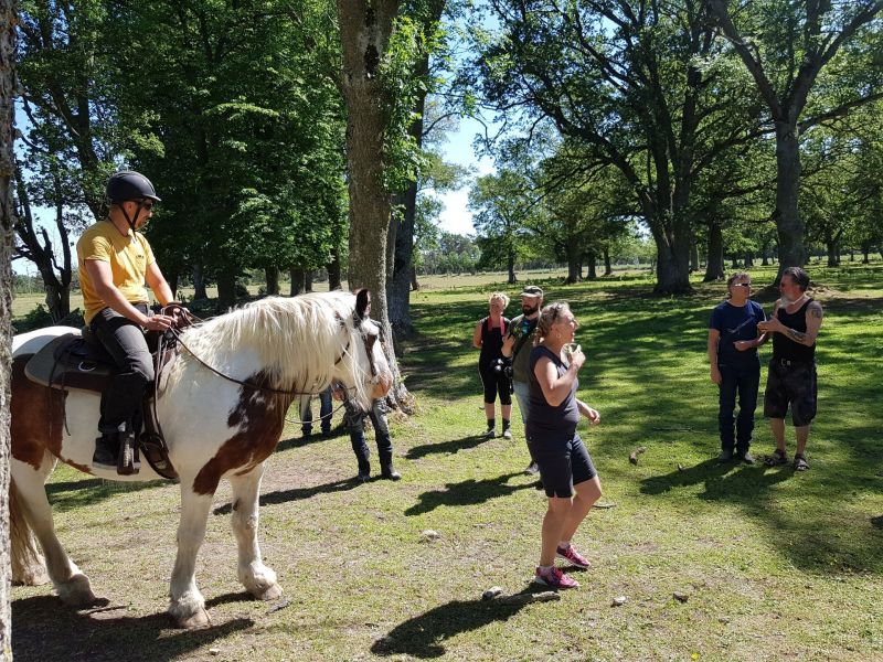 PÃ¥ Tjauls GÃ¥rd - Western-hÃ¤st-ridning
Fotograf: Sissel
Nyckelord: Ã¥rstrÃ¤ff2018