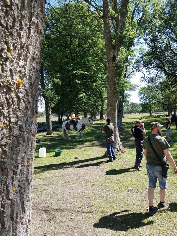 PÃ¥ Tjauls GÃ¥rd - Western-hÃ¤st-ridning
Fotograf: Sissel
Nyckelord: Ã¥rstrÃ¤ff2018