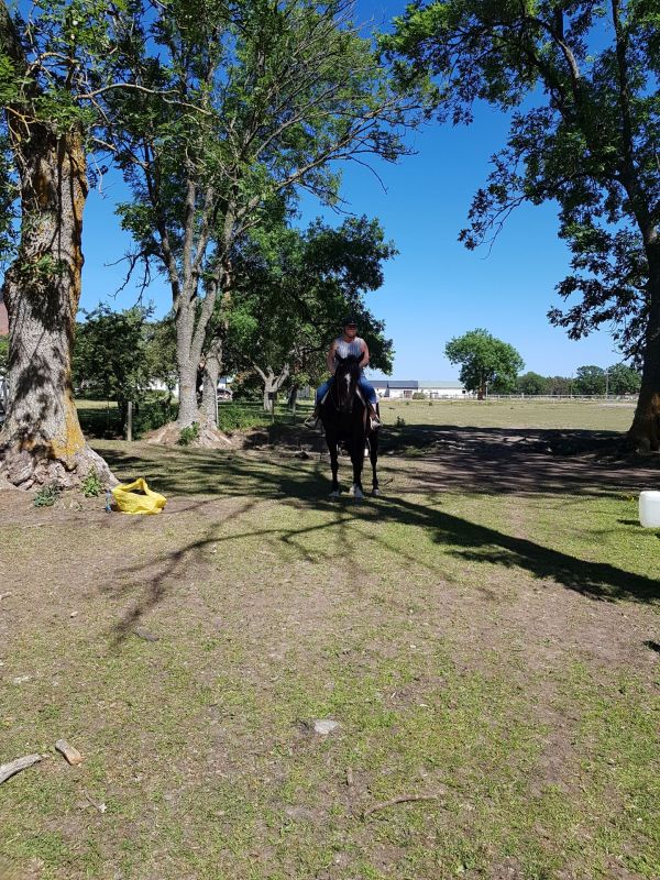 PÃ¥ Tjauls GÃ¥rd - Western-hÃ¤st-ridning
Fotograf: Sissel
Nyckelord: Ã¥rstrÃ¤ff2018
