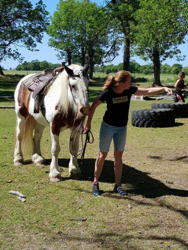 PÃ¥ Tjauls GÃ¥rd
Fotograf: 88:an
Nyckelord: Ã¥rstrÃ¤ff2018