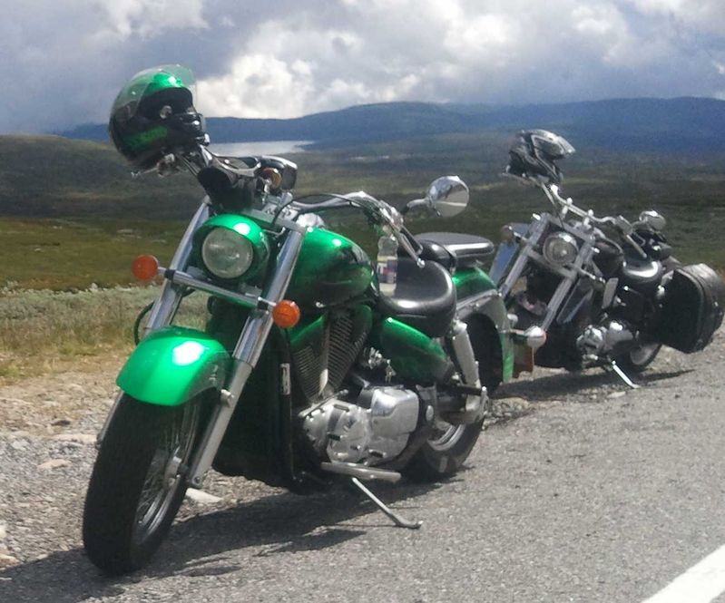 Nesse's och Mattins hojar
