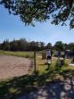 20180608_152424.jpg