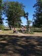 20180608_161958.jpg