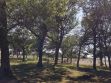 20180608_162211.jpg