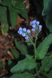 DSC_0024.JPG