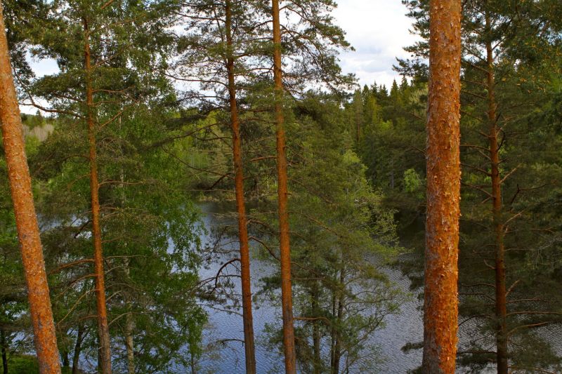 Foto: Boatman
Nyckelord: Ã¥rstrÃ¤ff2015